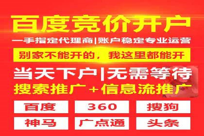 竞价排名案例：跨平台推广效果分析